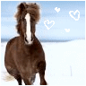 Horses avatars