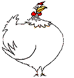 Chicken bird graphics