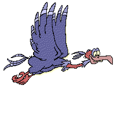 Eagle bird graphics