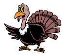 Peacock bird graphics