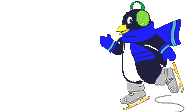 Penguin bird graphics