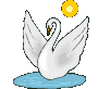 Swans bird graphics