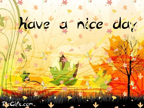 Have a nice day comment gifs