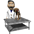 Dog doctor dog graphics