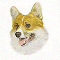 Welsh corgi dog graphics