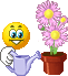 smileys-flowers-532163.gif