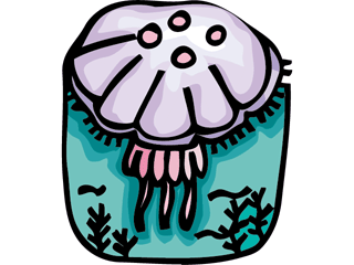 Jellyfish fish graphics