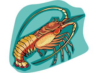 Lobster and crab fish graphics