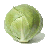 Cabbage food and drinks