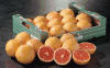 Grapefruit food and drinks