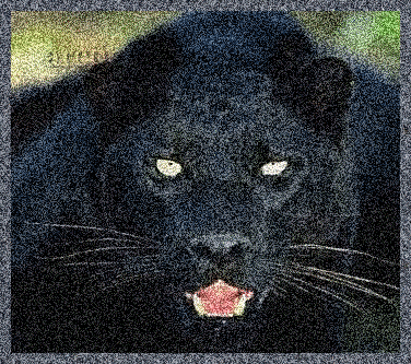 Panther glitter gifs
