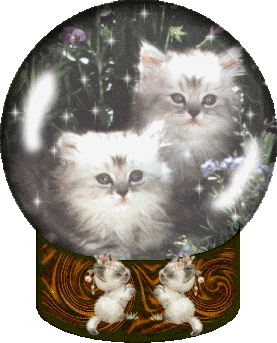 Globes cats globes