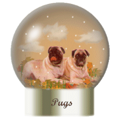 Globes dogs globes