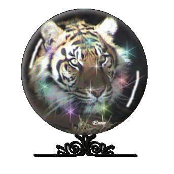 Globes tigers globes