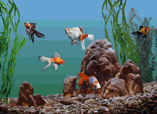 Aquarium graphics