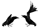 Birds graphics