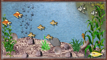 Fish graphics