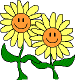 two yellow daisies