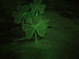Four leaf clover graphics