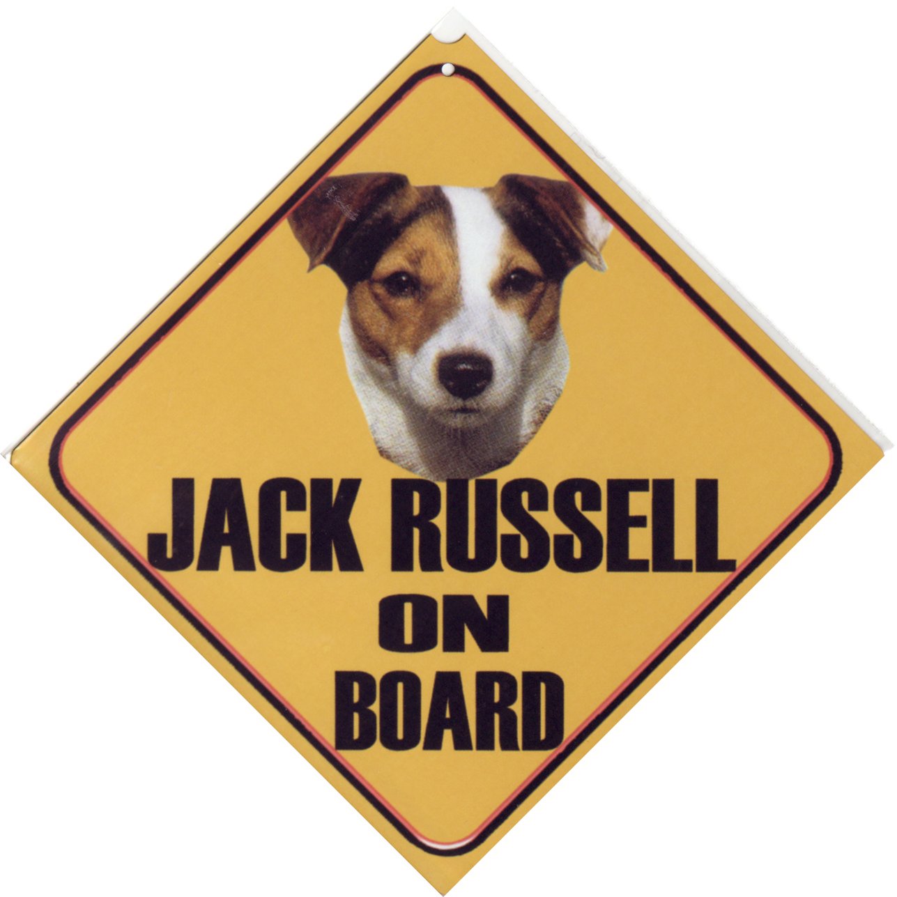 Jack russel graphics