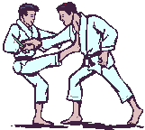 Karate graphics