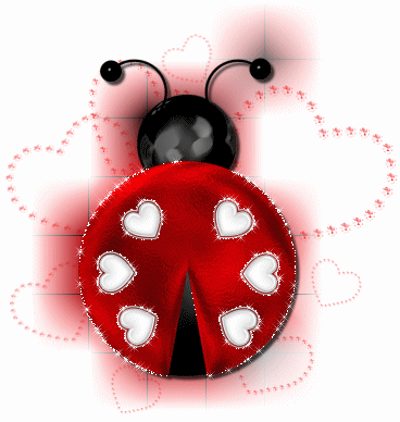 Ladybug graphics