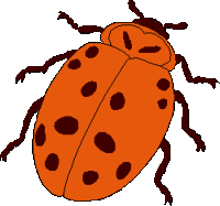 Ladybug graphics