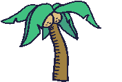 Palm trees graphics