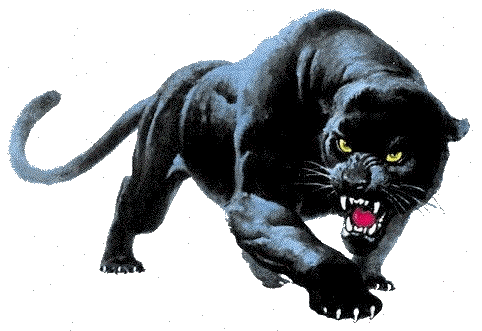 Panther graphics