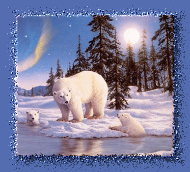 Polar bears graphics