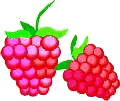 Raspberry graphics