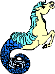 Seahorses graphics