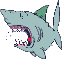 Sharks graphics