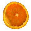 Subtropical fruit graphics