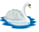 Swans graphics