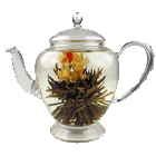 Teapots graphics