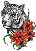 Tigers graphics