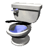 Toilet graphics