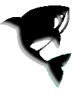 Whales graphics