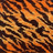 Tigers icon graphics