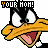 Daffy duck icon graphics