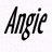Angie icon graphics
