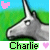 Charlie icon graphics