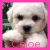 Chloe icon graphics