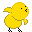 Ducks mini graphics