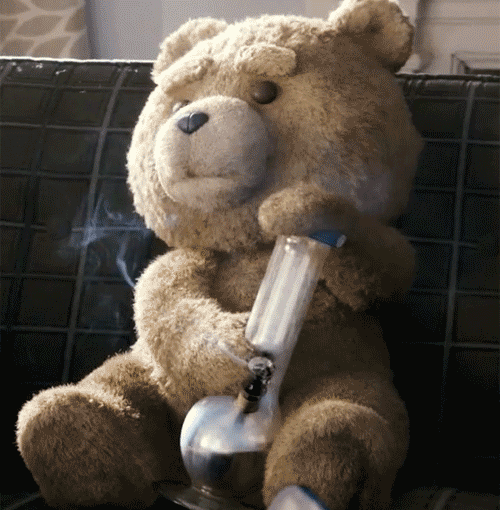 Ted movies and series