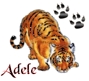 Adele name graphics