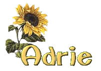 Adrie name graphics