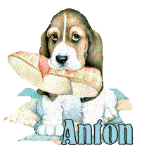 Anton name graphics