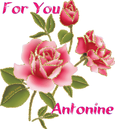 Antonine name graphics